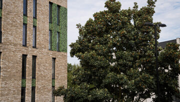 Apartment block and a tree in bloom.