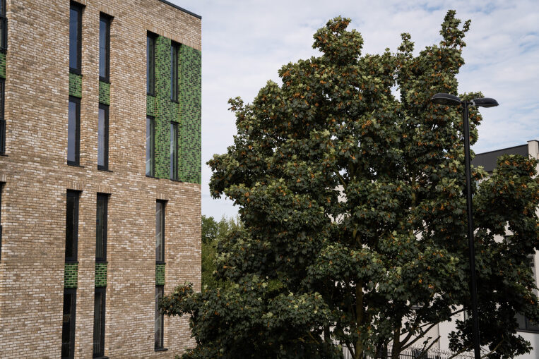 Apartment block and a tree in bloom.